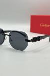 Cartier Siyah İthal Unisex Gözlük G3669-VLL