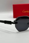 Cartier Siyah İthal Unisex Gözlük G3669-VLL