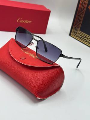 Cartier Siyah İthal Unisex Güneş Gözlük G3780