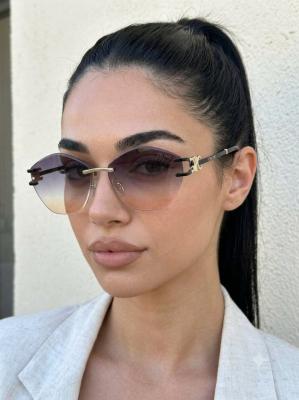 Celine Degrage  İthal Kadın Gözlük G4522-ILY