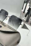 Dior Bellezza Gümüş İthal Kadın Güneş Gözlüğü  G3139-EMN
