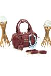 Miu Miu Arcadie BAG NEW MODEL Bordo