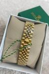 Rolex Datejust Erkek Kol Saati  S582