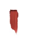 Rouge Dior Lipsticks Ruj 228 Mythique