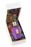 XERJOFF MUSE 100ML - VIBE COLLECTION JLT Diğer