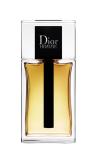 Dior Homme Eau de Toilette 100 ml Erkek İthal Man Diğer