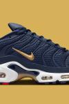 Nike Air Max Plus Ahead Of FIFA World Cup Qatar 2022 The French Football Federation  A124 Diğer