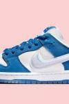 The Born X Raised x Nike SB Dunk Low  A118 Diğer