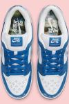 The Born X Raised x Nike SB Dunk Low  A118 Diğer
