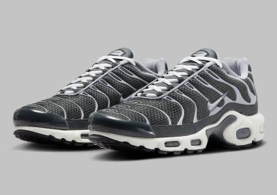 Nike Air Max Plus Cool Grey Illuminates  A113 Diğer