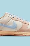 Nike Dunk Low Light Armory Blue  A110 Diğer