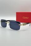 Cartier Siyah İthal Unisex Gözlük G4162-VLL Siyah