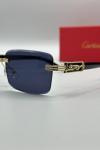 Cartier Siyah İthal Unisex Gözlük G4162-VLL Siyah