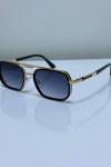 Prada Gold Çerçeve Füme Cam İthal Unisex Gözlük G4361-VLL Gold
