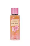 Velvet Petals Golden Vücut Spreyi   V117 Diğer